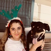 House Sitter - Alicia's Pawesome Adventures