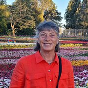 House Sitter - Mature, practical, tidy, trustworthy :)