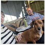 House Sitter - British Animal loving couple! 