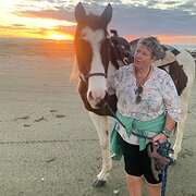 House Sitter - Wendy 