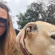 House Sitter - YOUR PERFECT HOME MINDER :) 