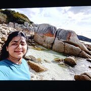 House Sitter - Reliable Care Taker - peace of mind to o