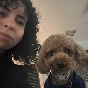 House Sitter - From Cuddles to Walkies