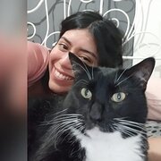 House Sitter - Caring and responsible family