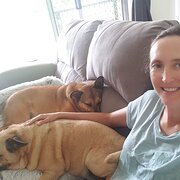House Sitter - Reliable dog lover 