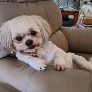 House Sitter - Sandi & Geoff