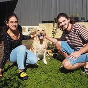 House Sitter - Animal Lovers - Pet & House Sitters WA