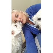 House Sitter - I Have Your Tail Covered !!