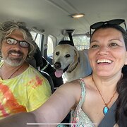 House Sitter - Ready to help you with your pets