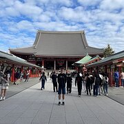 House Sitter - Jaimyn