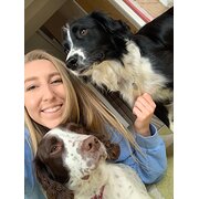 House Sitter - Reliable, caring pet sitter