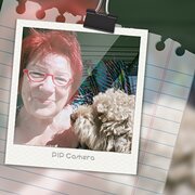 House Sitter - Zorika