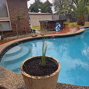 Home Owner wanting sitter in Mornington Peninsula, Victoria