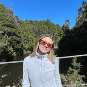 House Sitter - House Sitter