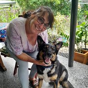 House Sitter - Free Empty Nester