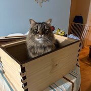 Home Owner wanting sitter in Brisbane , Queensland