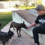 House Sitter - Steve 