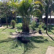 Home Owner wanting sitter in Redcliffe and Brisbane, Queensland