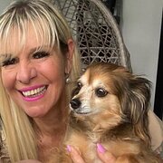 House Sitter - Bayside muse🌸