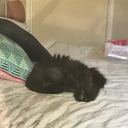 House Sitter - John + Kerry