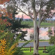 Home Owner wanting sitter in , New South Wales