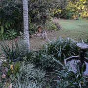 Home Owner wanting sitter in Maryborough , Queensland