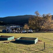 Home Owner wanting sitter in Benalla, Victoria