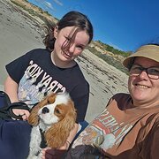 House Sitter - Happier Mansers