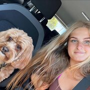 House Sitter - Dependable and enthusiastic sitter :)