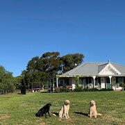 Home Owner wanting sitter in Canberra and Wagga, New South Wales