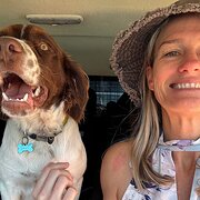 House Sitter - Katrina Randall