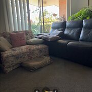 Home Owner wanting sitter in Brisbane , Queensland