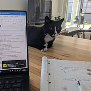 Home Owner wanting sitter in Brisbane, Queensland