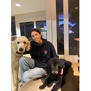 House Sitter - Experienced House Sitter