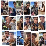 House Sitter - Gilson’s Sitter