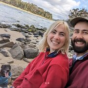 House Sitter - Responsible dog lovers!