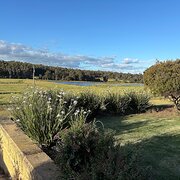 Home Owner wanting sitter in , Western Australia