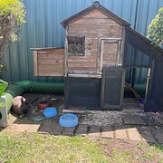 Home Owner wanting sitter in , South Australia