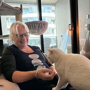 House Sitter - Trustworthy house and pet sitter 