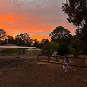 Home Owner wanting sitter in , Western Australia