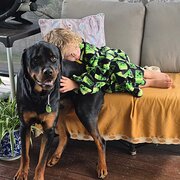 Home Owner wanting sitter in , Queensland