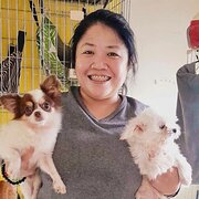 House Sitter - “Caring Hands for Your Home & Pets” 