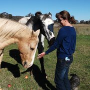 House Sitter - Janice