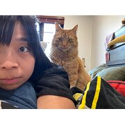 House Sitter - Taiwanese-Australian Animal Lover