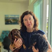 House Sitter - New house and dog sitter