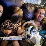 Home Owner wanting sitter in Sydney, New South Wales