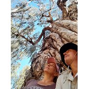 House Sitter - Respectful down to earth animal lovers