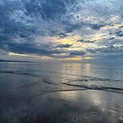 Home Owner wanting sitter in Seaford Meadows, South Australia