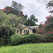 Home Owner wanting sitter in Maroochdore, Queensland