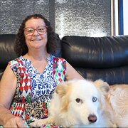 House Sitter - Retired & reliable house / pet sitter